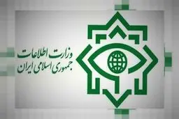 
شناسایی و ضربه به اخلال‌گران بازار ارز 