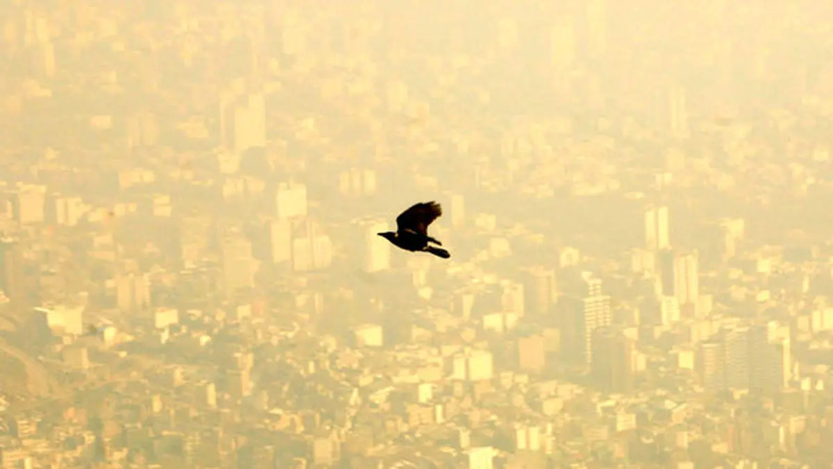 تاثیرات جبران نشدنی آلودگی هوای تهران | صد در صد سکته های مغزی و قلبی از اثرات این هوا هستند!