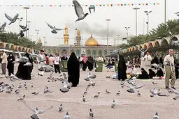اعزام به عراق شایعه است