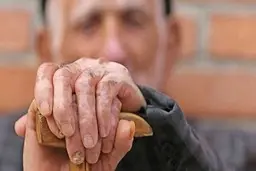 زمین‌خوردن سالمندان فقط یک حادثه نیست | زنگ خطری پنهان برای آغاز زوال عقل
