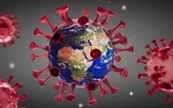 محققان هلندی از کشف آنتی بادی ویروس کرونا خبر دادند