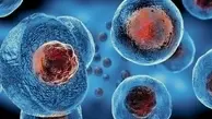 قابلیت‌های شگفت‌انگیز سلول‌های بنیادی بر درمان کرونا 