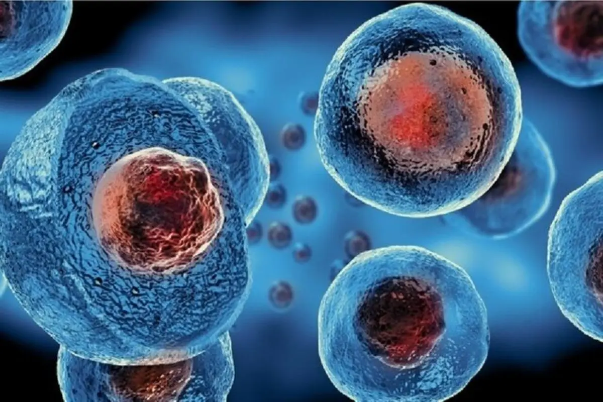 قابلیت‌های شگفت‌انگیز سلول‌های بنیادی بر درمان کرونا 