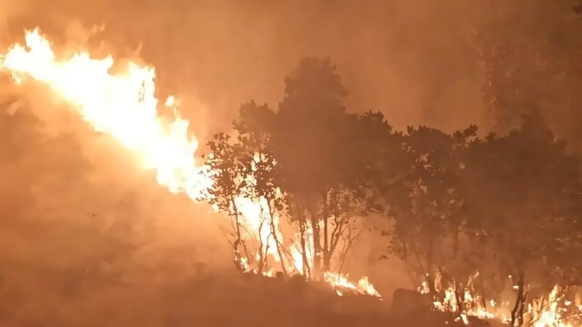  تداوم در آتش سوزی گسترده جنگل‌های بویراحمد پس از دو مرحله مهار+ عکس