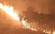  تداوم در آتش سوزی گسترده جنگل‌های بویراحمد پس از دو مرحله مهار+ عکس