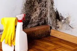 چطور از خطر سم کپک در امان بمانیم؟ | سمی ترین گاز دنیا ترکیب سفید کننده و کپک +ویدئو