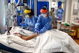  نیمی‌ از قربانیان زنده بودند اگر قرنطینه یک هفته زودتر آغاز می‌شد،