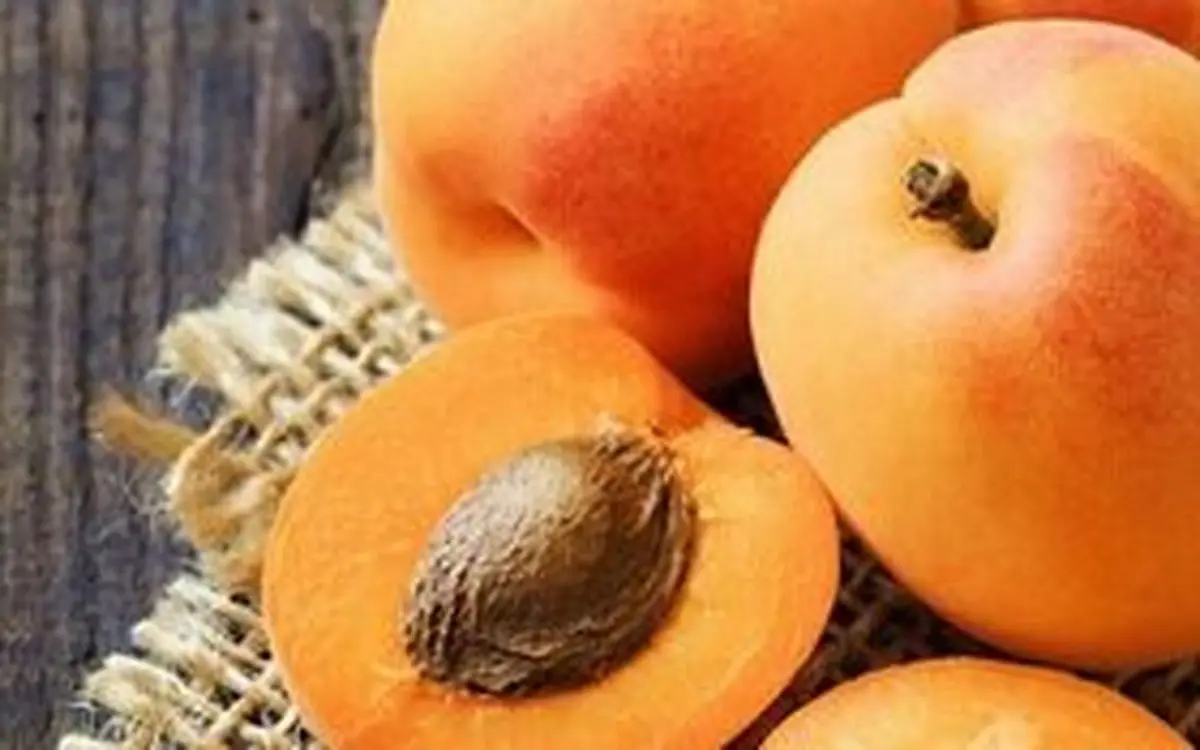 با خوردن هسته این ۵ میوه فورا راهی بیمارستان می‌شوید! | عوارض خوردن هسته میوه زردآلو که نمیدونستید