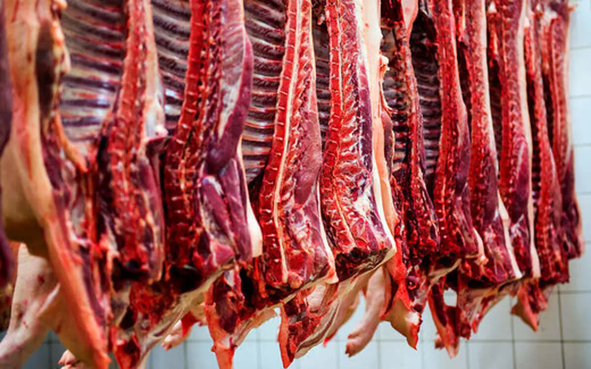 قیمت گوشت گوسفندی در بازار روز اعلام شد | قیمت گوشت چقدر است؟