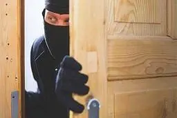سارقان در تهران بیشتر سراغ چه چیزهایی می‌روند؟ | چهارچشمی مراقب این وسیله‌ باشید