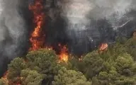 آتش ۲۰ هکتار از جنگل‌های نوشهر را سوزاند
