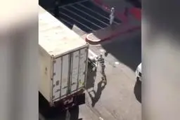 کرونا در آمریکا |  به زندانیان برای جابجایی جسدهای کرونایی ساعتی 2 دلار  پرداخت میشود