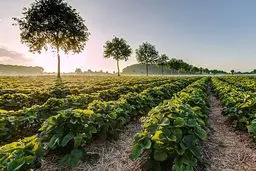 کاهش محسوس دمای هوا در 6 استان کشور