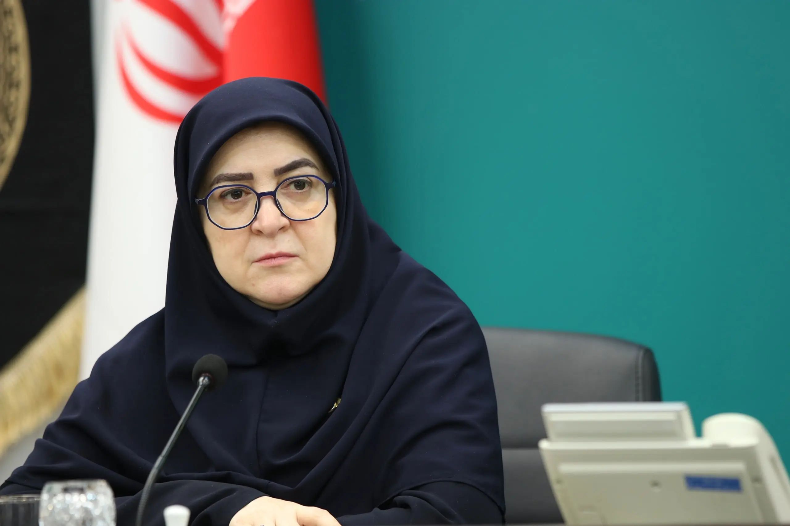 سخنگوی دولت: در میدان ولی‌عصر یک خانمی به من گفت الهی بمیری!‌