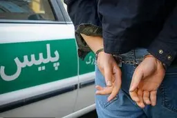 ویدئویی از  لحظه دستگیری قاتلان برادر مالک متروپل + ویدئو