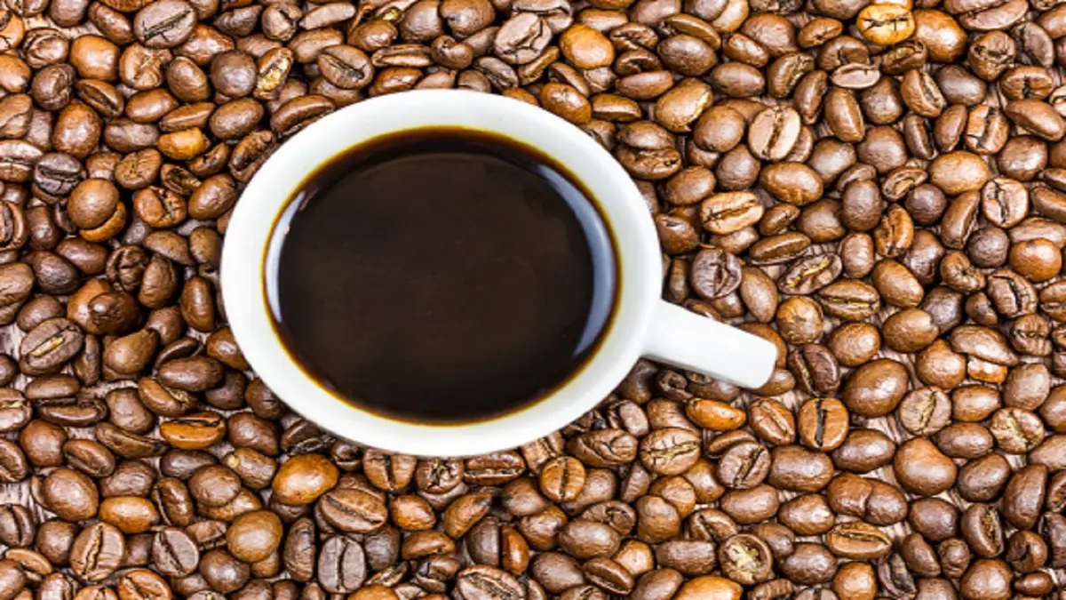 هنوز نژاد های قهوه و تفاوتشون رو نمی‌دونی؟ | معرفی انواع قهوه و خواص آنها +ویدئو