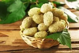کاهش کلسترول خون با این میوه تابستانی