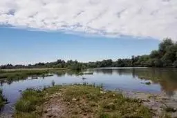 عامل کشتار گسترده ماهیان پارک ملی دز خوزستان دستگیر شد