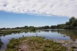 عامل کشتار گسترده ماهیان پارک ملی دز خوزستان دستگیر شد