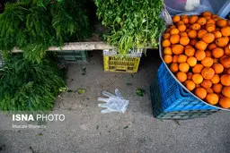 احتمال انتقال کرونا در دوره کُمون / اهمیت دفع صحیح زباله‌های بهداشتی