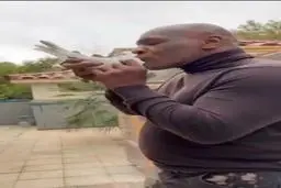 کفترباز آمریکایی دیده بودید؟!+ویدئو