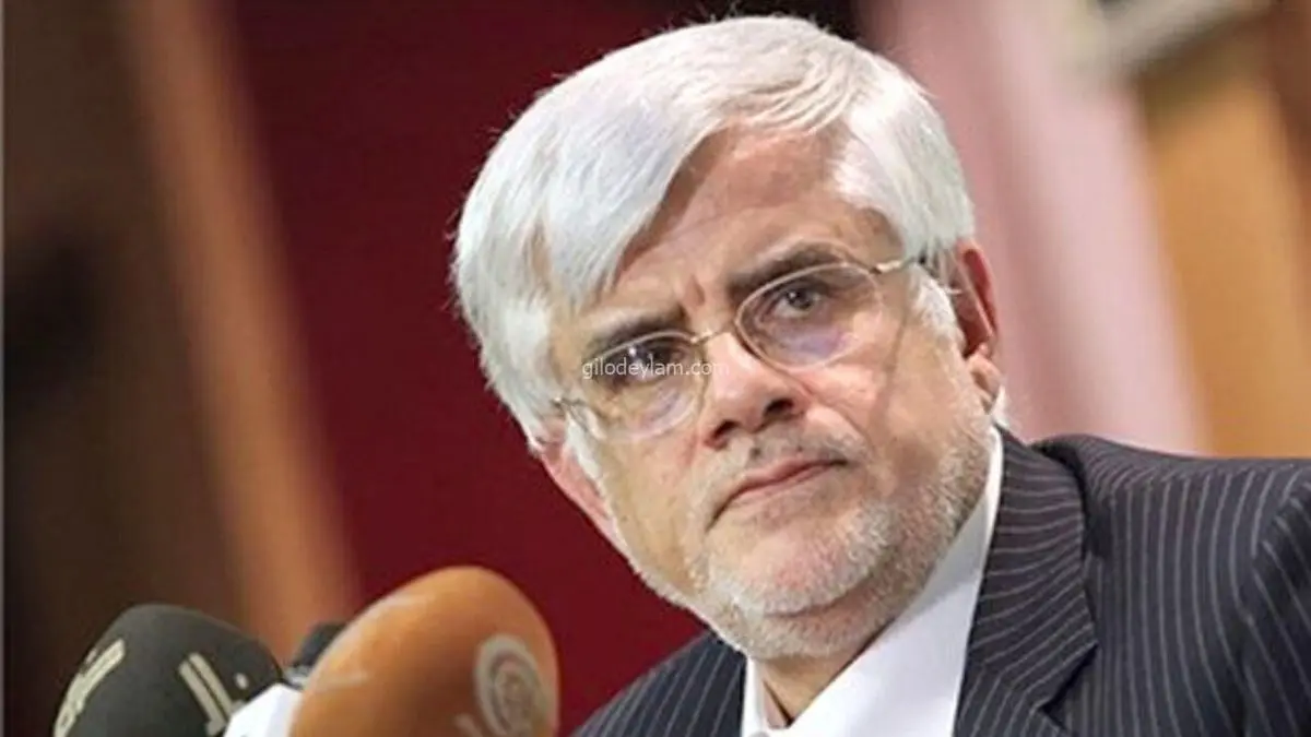  عارف با مهدی کروبی دیدار و گفت‌وگو کرد