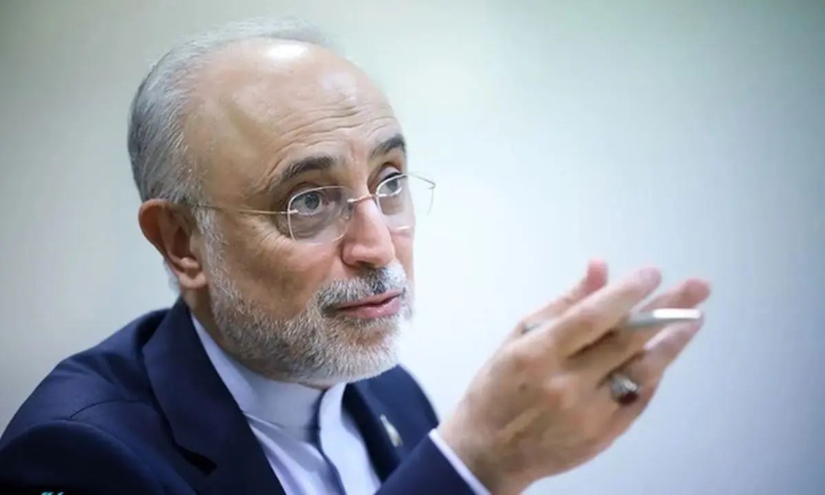 علی‌اکبر صالحی: بنیاد ایران‌شناسی خانه همه اندیشمندان است | صالحی بر لزوم حفظ احترام اهل علم در جامعه تأکید کرد