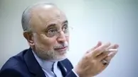 علی‌اکبر صالحی: بنیاد ایران‌شناسی خانه همه اندیشمندان است | صالحی بر لزوم حفظ احترام اهل علم در جامعه تأکید کرد