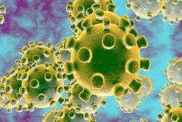  کرونا | بروز کرونا با علائم درد شکم و تهوع در تابستان