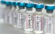 زالی: بیش از ۴ میلیون دز واکسن کرونا در تهران تزریق شد