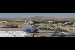 لک‌لک روی دوش مرد مریوانی نشست + ویدئو