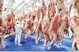 قیمت جدید گوشت اعلام شد | خبر مهم دولت درباره میزان تغییر قیمت گوشت در بهار ۱۴۰۳