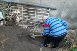 جسد «شیما» پیدا شد