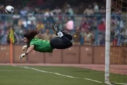 حواشی دروازه‌بان کلمبیایی