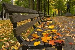 مقصدهای جذاب سفر در پاییز | از کویر و چشمه های آب گرم تا جنگل های زیبای شمال 