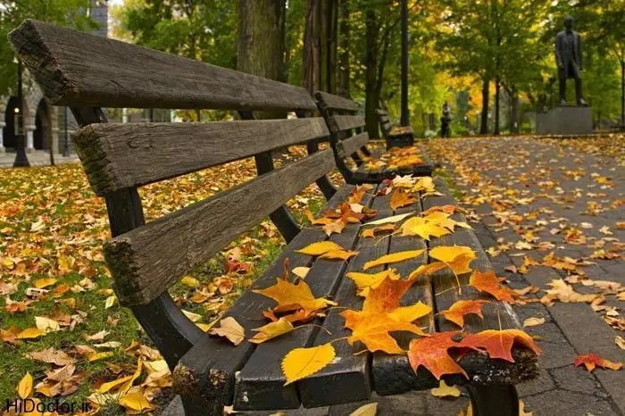 بدترین پاییز ۵۷ سال اخیر در راه ایران و خاورمیانه | هشدار هواشناسی: پاییزی کم‌بارش و خشکسالی طولانی در پیش است