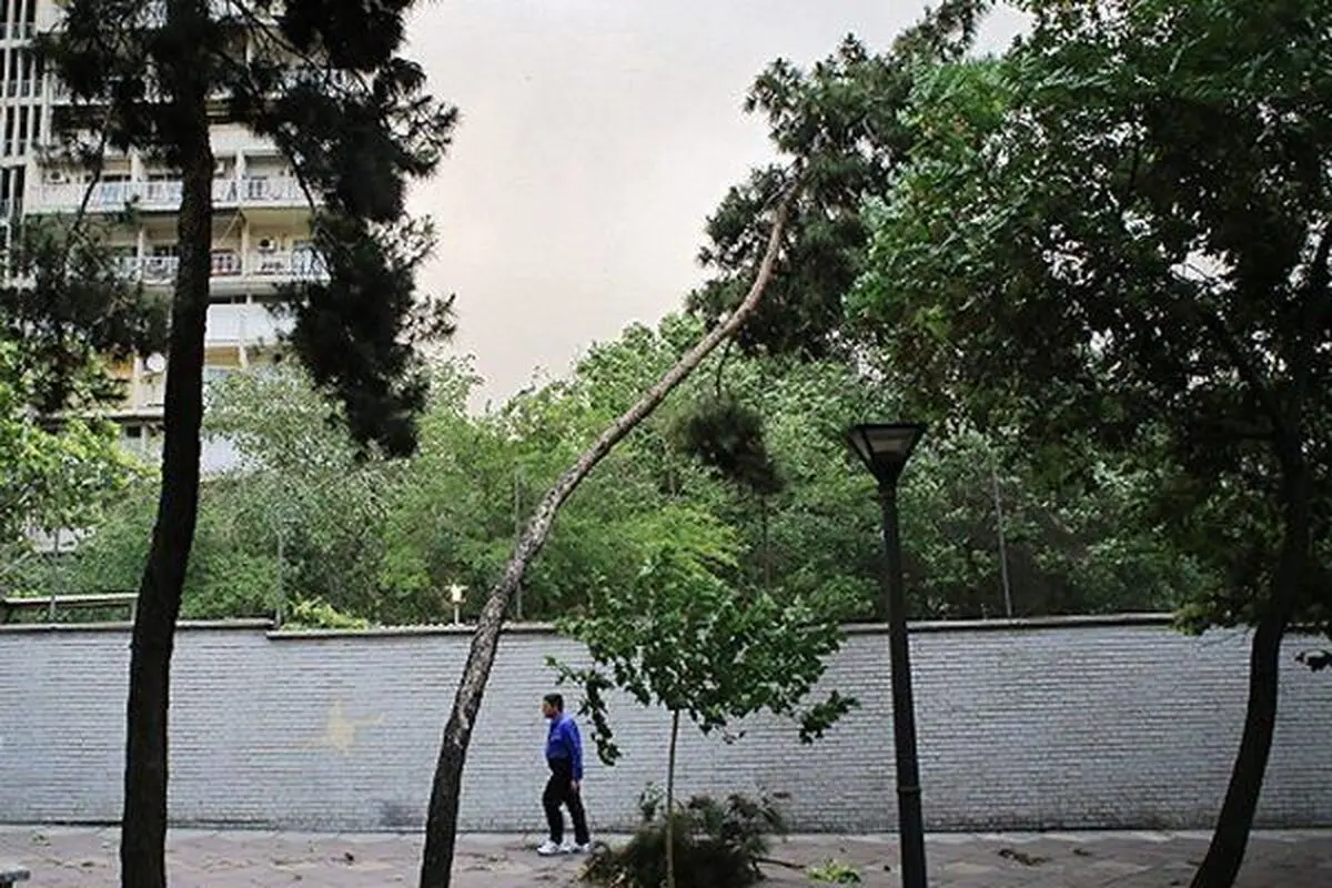  تهران در انتظار تندباد 