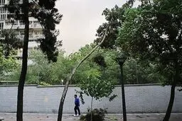  تهران در انتظار تندباد 