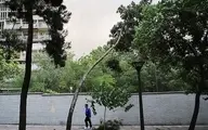  تهران در انتظار تندباد 