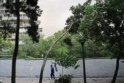  تهران در انتظار تندباد 