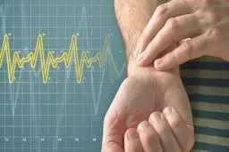 کشف سلول‌های جدید در قلب که ضربان را تنظیم می‌کنند