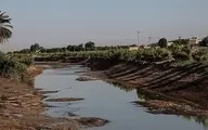 فارس از قول یک منبع اگاه: سد کرخه فقط برای ۵۴ روز آب دارد