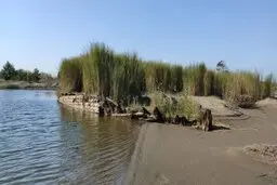 کشف بقایای یک فروند کشتی در شهرستان آستانه اشرفیه  