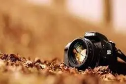 ترفند گرفتن عکس پرتره | با این تکنیک تصاویر پرتره متفاوتی بگیرید

