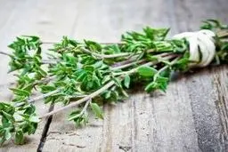 عوارض این گیاه پرخاصیت را بشناسید