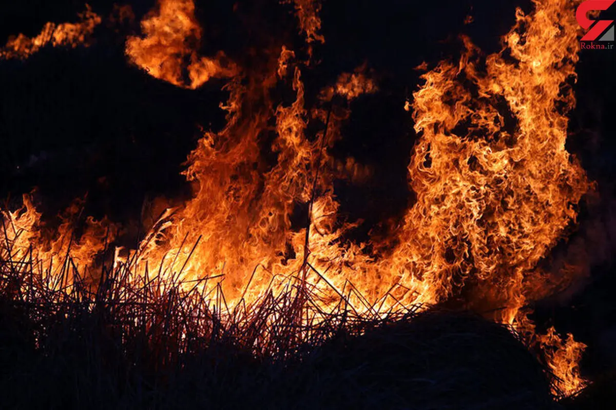 آتش سوزی در جنگل های تنکابن | در جنگل‌های تنکابن و نوشهر درخواست بالگرد شد