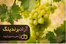 فوت فن های پولسازی که مردم از آن بی خبرند