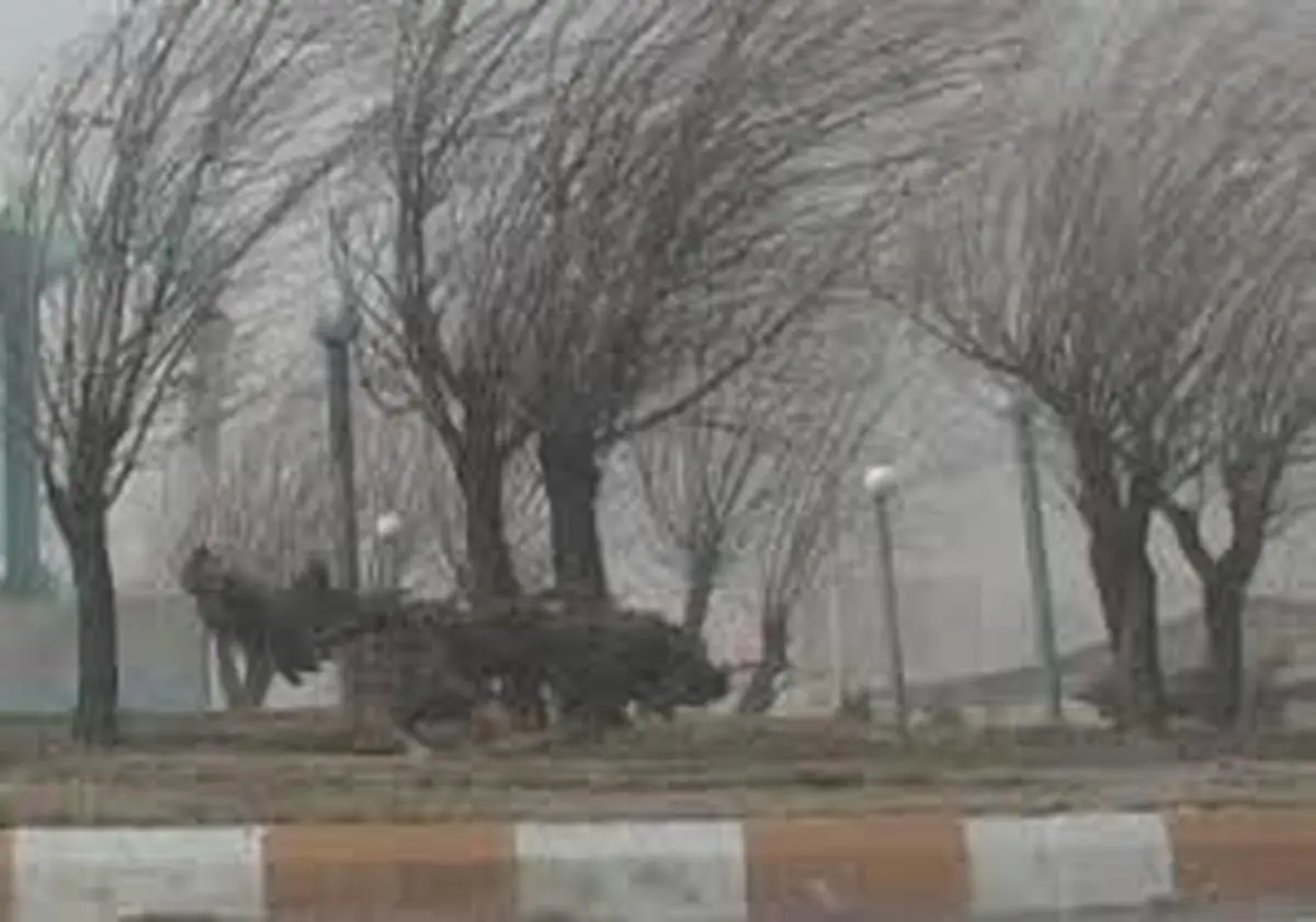 
 آسمان تهران صاف همراه با وزش باد شدید است
