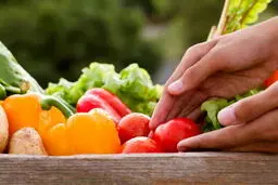  تغذیه مناسب برای مقابله با زوال عقل