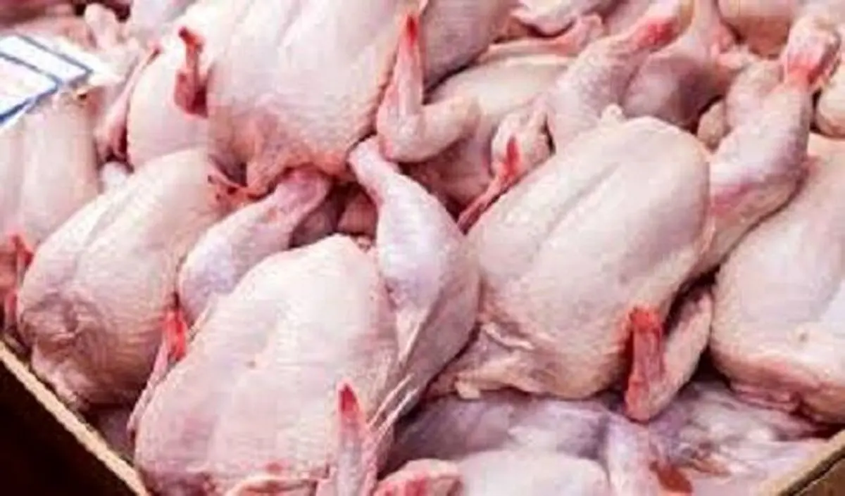 چرا قیمت مرغ افزایشی است؟